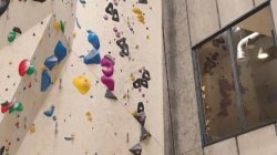 Jelang Pertandingan Speed World Climbing Series Madrid, Atlet Fokus Cari Feel Kompetisi